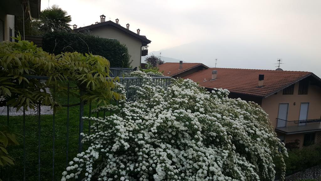 Apartment Weiss Home Riva del Garda Exterior photo